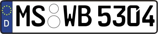 MS-WB5304