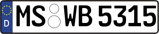 MS-WB5315