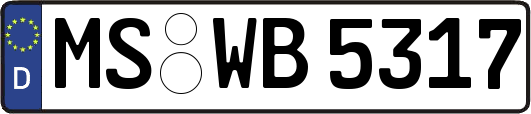 MS-WB5317