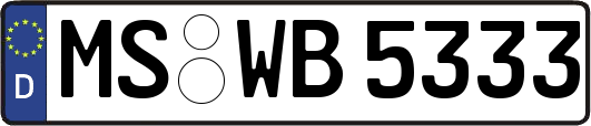 MS-WB5333