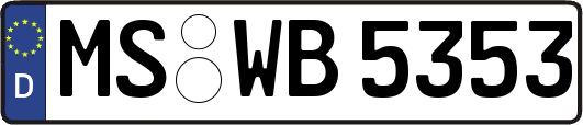 MS-WB5353