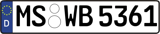 MS-WB5361