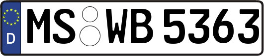 MS-WB5363