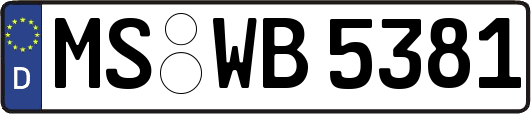 MS-WB5381