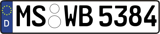 MS-WB5384
