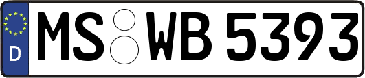 MS-WB5393
