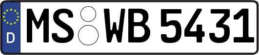 MS-WB5431