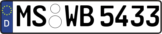 MS-WB5433