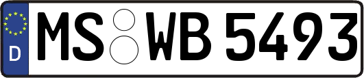MS-WB5493