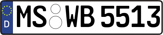 MS-WB5513