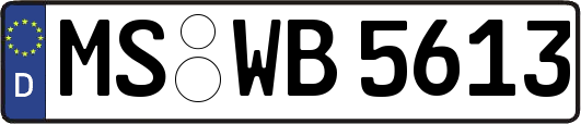 MS-WB5613