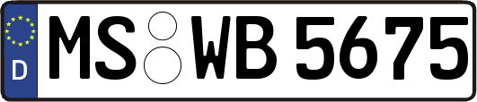 MS-WB5675