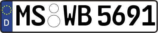 MS-WB5691