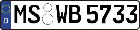 MS-WB5733