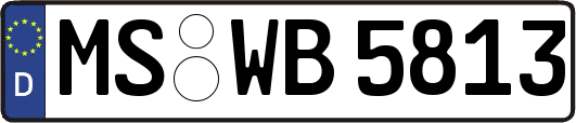 MS-WB5813