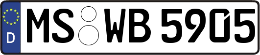 MS-WB5905