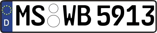 MS-WB5913