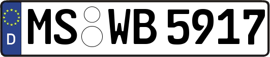 MS-WB5917