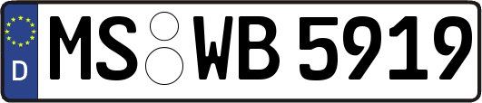 MS-WB5919