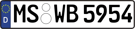MS-WB5954
