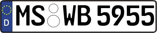 MS-WB5955