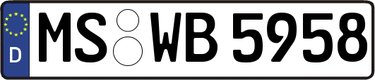 MS-WB5958