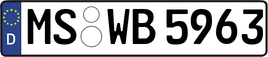 MS-WB5963