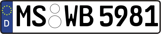MS-WB5981