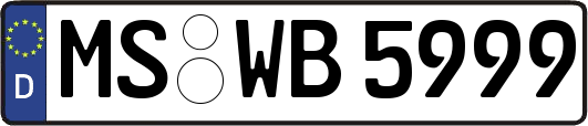 MS-WB5999