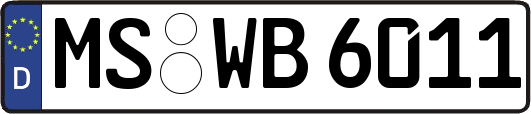 MS-WB6011