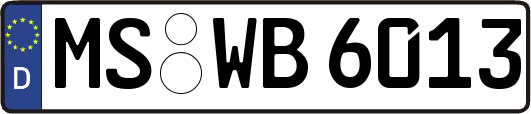 MS-WB6013