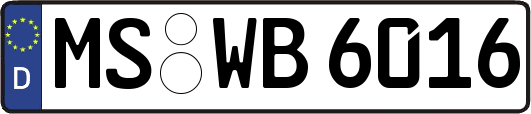 MS-WB6016