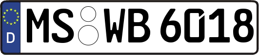 MS-WB6018