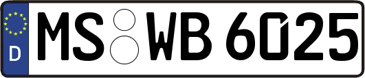 MS-WB6025