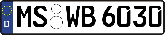 MS-WB6030