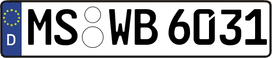 MS-WB6031
