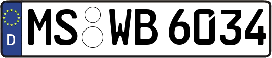MS-WB6034
