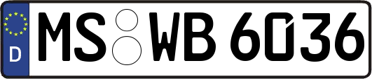 MS-WB6036