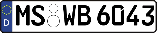 MS-WB6043