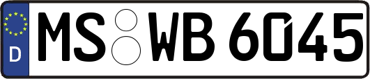 MS-WB6045