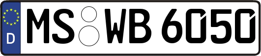 MS-WB6050
