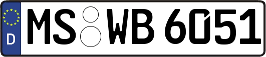 MS-WB6051