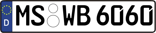 MS-WB6060