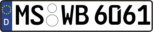 MS-WB6061