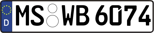 MS-WB6074