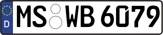 MS-WB6079