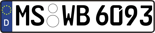 MS-WB6093