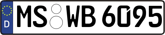 MS-WB6095