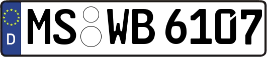 MS-WB6107