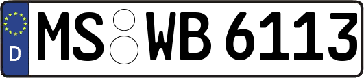 MS-WB6113